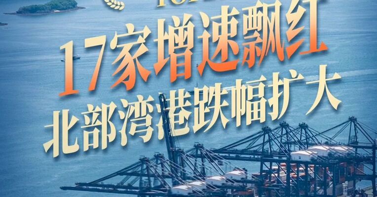 港口半年报 集装箱吞吐量TOP20：17家增速飘红 北部湾港跌幅扩大