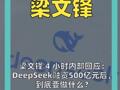 副本_梁文锋4小时内部回应： DeepSeek融资500亿元后， 到底要做什么？