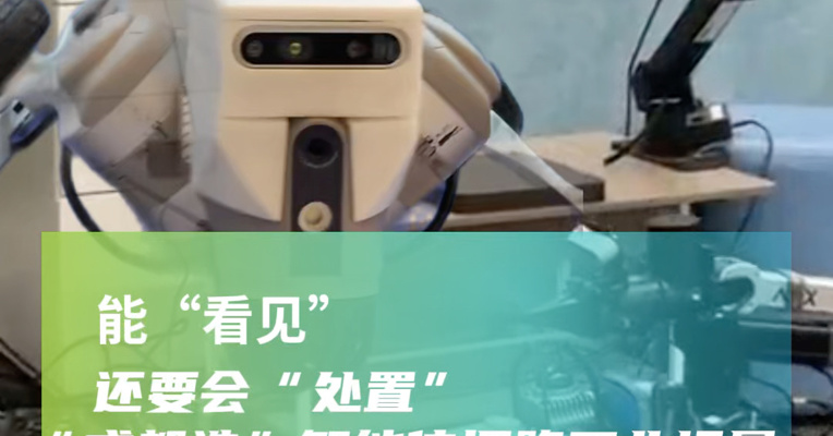 考拉悠然CTO 顾舒航：能“看见”，还要会“处置”，“成都造”智能体探路工业场景