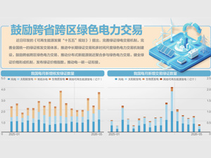 APEC数字和人工智能部长会议