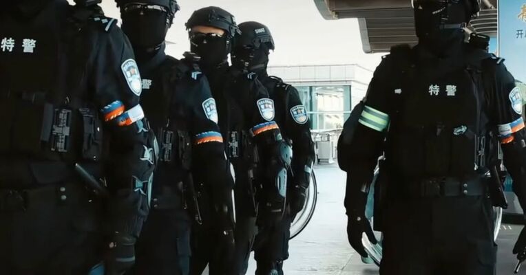 中国警方向美方遣返一名涉嫌严重暴力犯罪的美籍逃犯 罪名包括性侵幼女、枪杀妻子