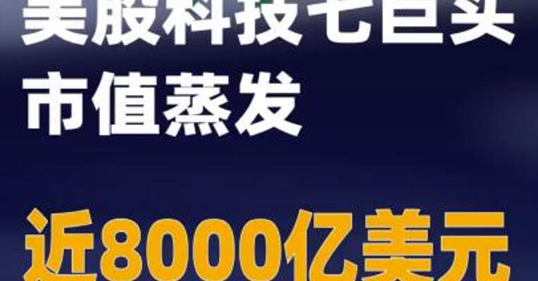 美股科技七巨头市值蒸发近8000亿美元