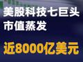 美股科技七巨头市值蒸发近8000亿美元