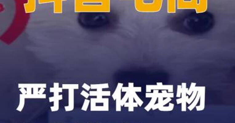 抖音电商严打活体宠物违规售卖