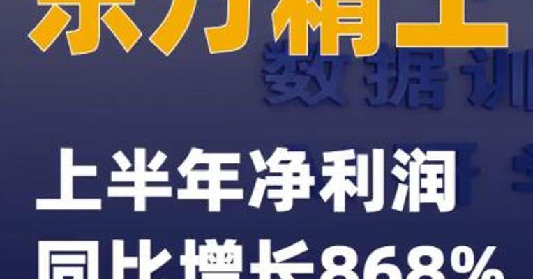 东方精工：上半年净利润同比增长868%