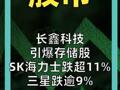 长鑫科技引爆存储股 SK海力士跌超11%， 三星跌逾9%