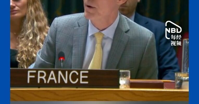 现场视频曝光：美法两国因图尔克连任联合国人权高专撕破脸  法国代表安理会发言时美国代表离场