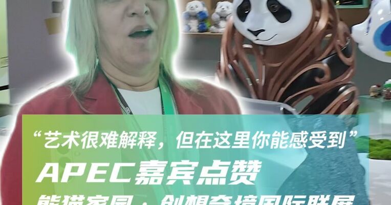 “艺术很难解释，但在这里你能感受到”，APEC嘉宾点赞熊猫家园·创想奇境国际联展