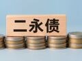 加速“补血”！年内银行“二永债”发行规模超1.2万亿元，大行占比超六成