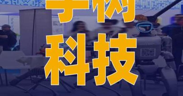 宇树科技申购时间定了