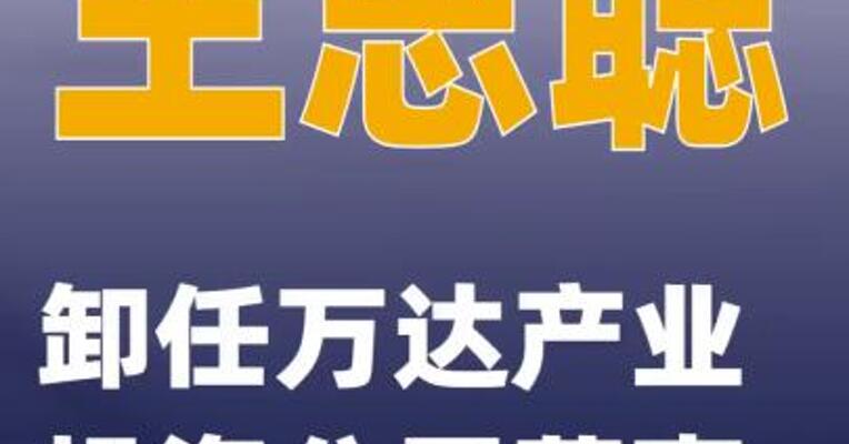 王思聪卸任万达产业投资公司董事