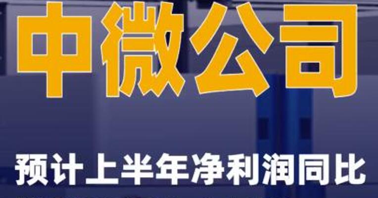 中微公司：预计上半年净利润同比增长282%~311%