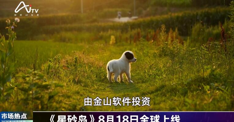 2026年8月5日游戏市场热点