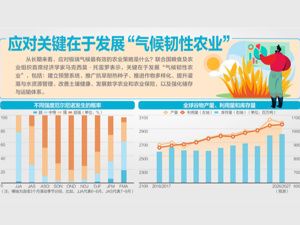“150年来最强”厄尔尼诺逼近 专访联合国粮农组织首席经济学家托雷罗：若应对不当，恐新增2140万饥饿人口