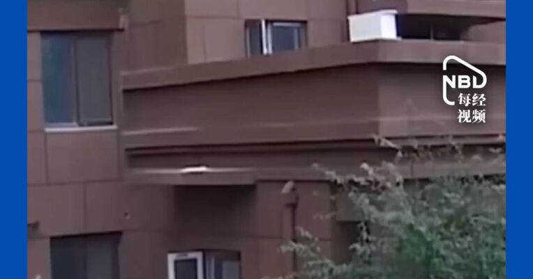 因懒得下楼丢垃圾，女子先后6次从9楼扔下烂桃，险些砸中路人，被警方刑拘！