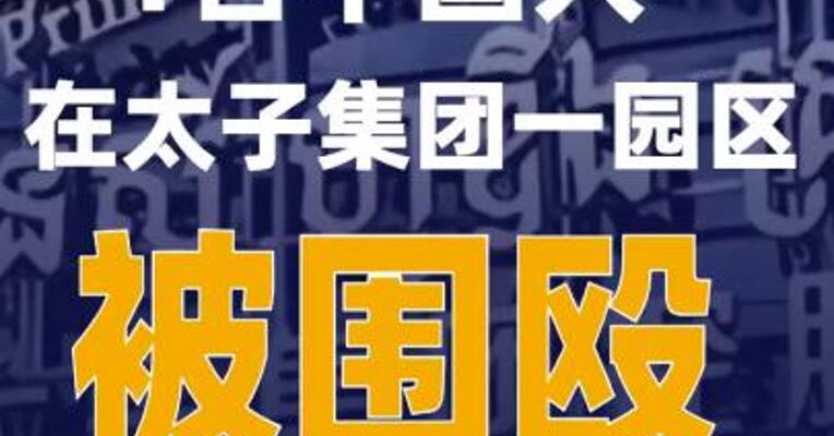 4名中国人在太子集团一园区被围殴15名施暴人员均获刑13年