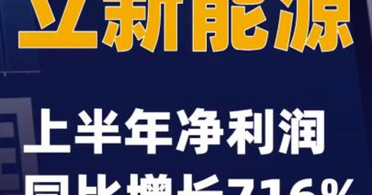 立新能源：上半年净利润同比增长716%