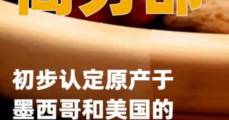 商务部：初步认定原产于墨西哥和美国的进口碧根果存在倾销