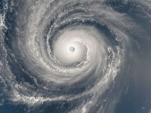 “白海豚”来袭，北京、上海等多地发布暴雨红色预警！中央气象台回应每经：北方局部地区将降温10℃左右