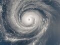 “白海豚”来袭，北京、上海等多地发布暴雨红色预警！中央气象台回应每经：北方局部地区将降温10℃左右