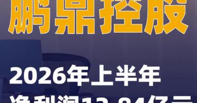 鹏鼎控股：2026年上半年净利润12.84亿元