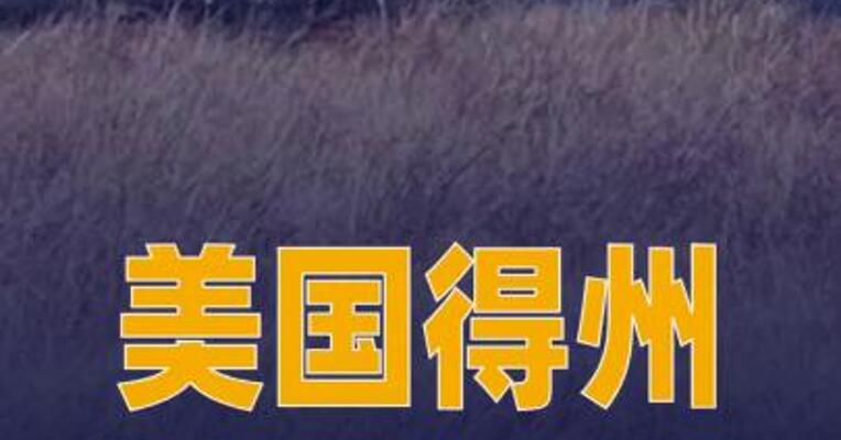 美国得州一架“阿帕奇” 直升机坠毁 两人死亡