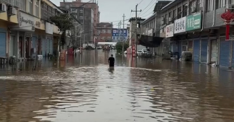 受台风“白海豚”影响，河南舞阳一养殖户称上千头猪被淹死亡或冲走，当地回应：目前救援以人员转移为主，死亡生猪将进行无公害化处理