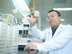 瞄准阿尔茨海默病和胰腺癌？未来科学大奖得主张宏：自噬理论“中国方案”正在就位