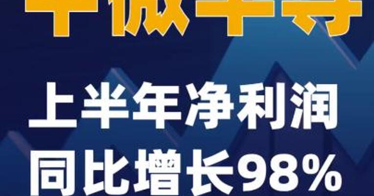 中微半导：上半年净利润同比 增长98%
