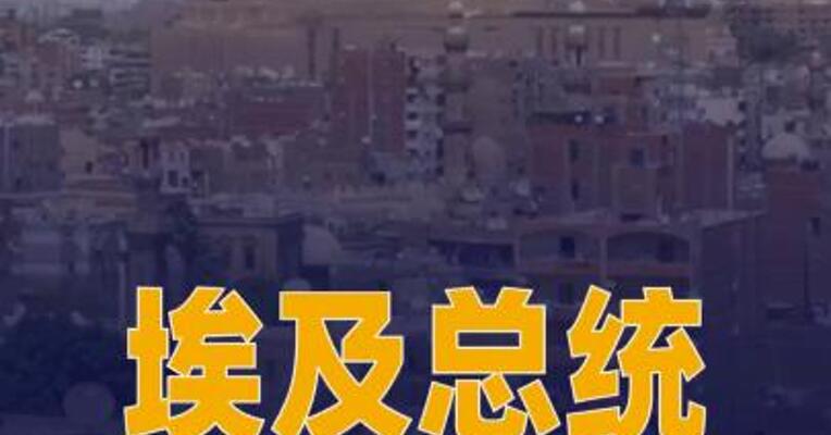 埃及总统会见库什纳 呼吁各方 落实加沙停火