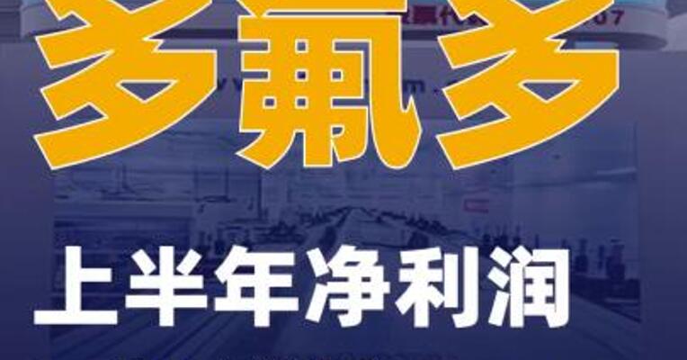 多氟多：上半年净利润同比增长897%