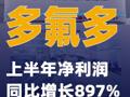 多氟多：上半年净利润同比增长897%