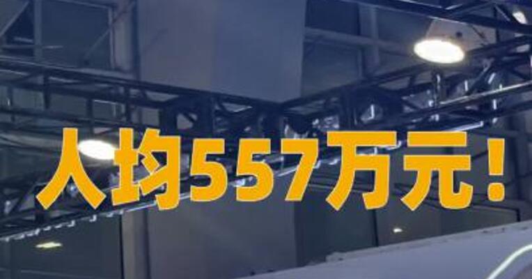 人均557万元！寒武纪124名员工股权激励股份即将解禁