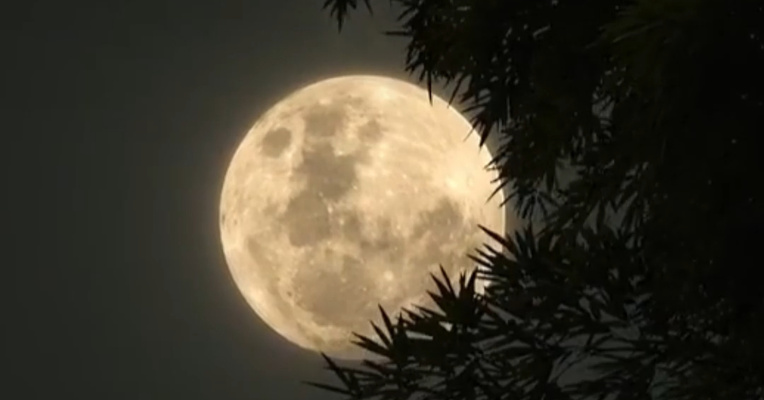 月亮太亮竟被投诉？12345是民生救命线，不是“许愿池”，更不是“巨婴撒娇线”