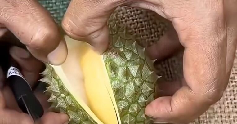 榴莲价格大跳水！有品种从100多元跌到14元“榴莲自由”逐步实现，消费者更关心便宜能买到好货吗？