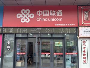 中国联通上半年营收超2000亿元，净利下滑逾三成，算力业务发力增长