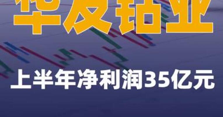 华友钴业：上半年净利润35亿元