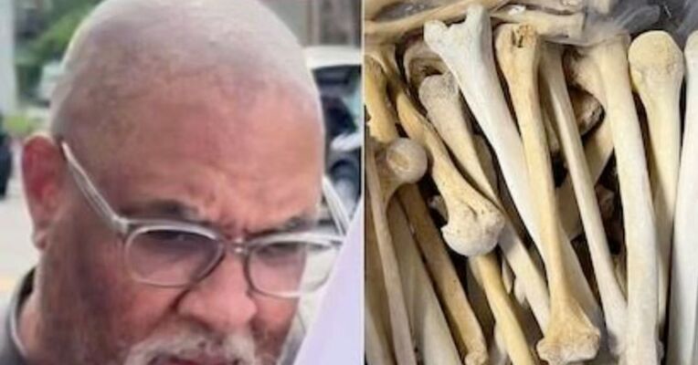 哈佛大学判赔5300万 ！其医学院太平间前负责人从获捐遗体中盗取器官及组织贩卖，法院：遗体遭受“骇人且有失尊严”的对待