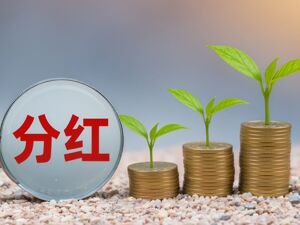 中国巨石上半年归母净利润同比增逾七成，拟中期分红约13亿元
