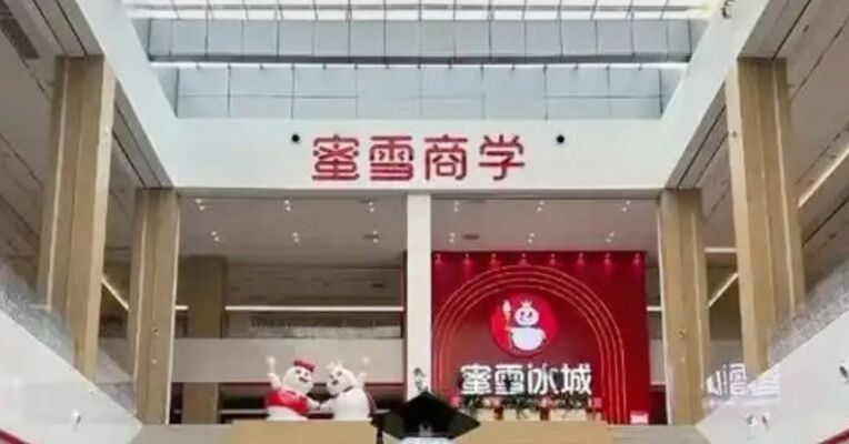 “重生之我在蜜雪冰城上大学” 宿舍精装公寓，食堂四菜一汤 奶茶无限炫 最快九天可以毕业