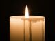 Open-uri20260820-2912-1rapdyr.thumb_hs
