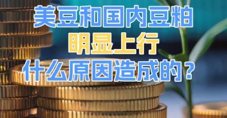 美豆和国内豆粕明显上行什么原因造成的？