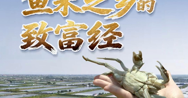 从劣Ⅴ类到稳定在Ⅳ类水，作为长江中游重要的生态屏障，洪湖如何能够在水环境治理过程中，实现生态与经济的双丰收？
