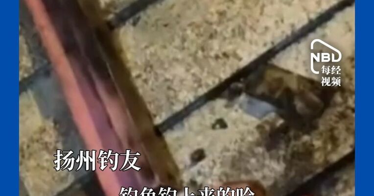 扬州男子河边钓鱼，鱼没钓到捞上一袋公章，还涉及省厅单位？