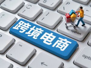 告别包裹量内卷，东南亚消费分层：Lazada押注品牌阵地，与Shopee、TikTok赛道分化，博弈加剧