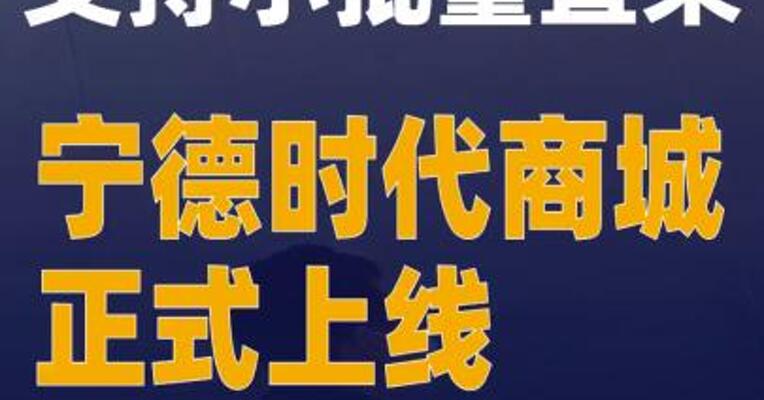 支持小批量直采 宁德时代商城正式上线