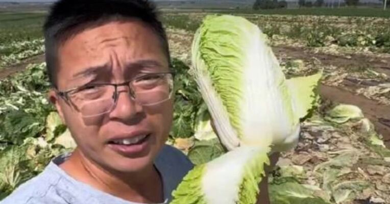 河北一地被曝白菜蘸甲醛保鲜 人民日报锐评：食品安全无小事 必须从速从严处置