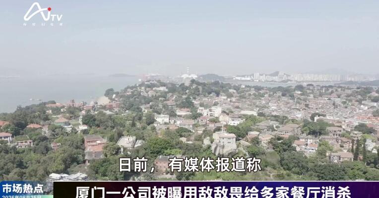 2026年8月25日消费市场热点