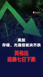 美股存储、光通信板块齐跌，英伟达连续七日下跌
