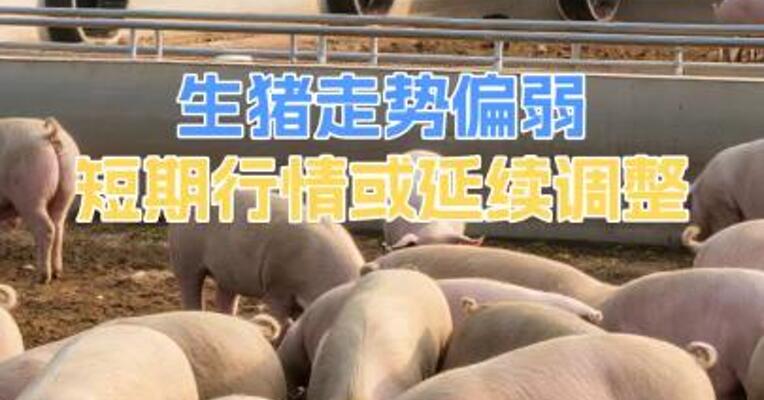生猪走势偏弱短期行情或延续调整